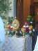 received_1982423735125698_small.jpg