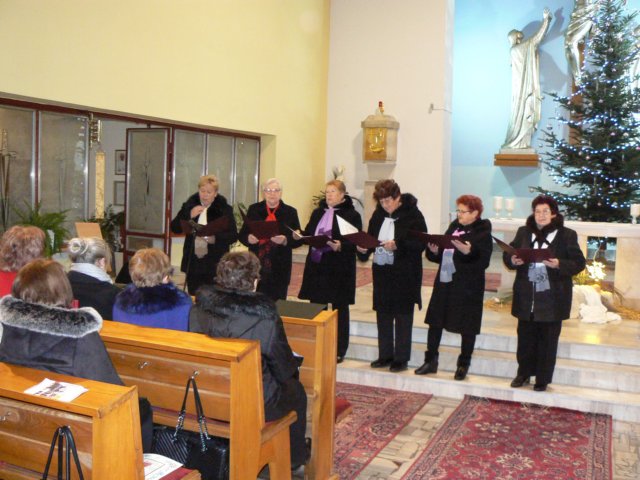 p1180749.jpg