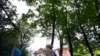 _1238180_small.jpg