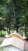 _124952_small.jpg