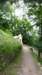 _131325_small.jpg
