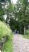 _131545_small.jpg