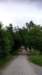 _132902_small.jpg