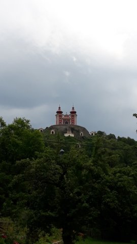_133556.jpg
