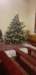 _173718_small.jpg