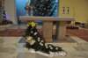 dsc_4726_small.jpg