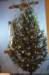 dsc_4736_small.jpg
